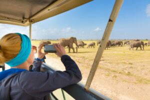 budget safari en Tanzanie