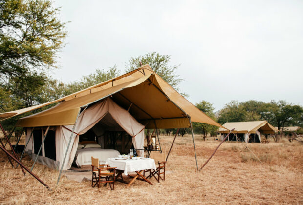 safari en tanzanie