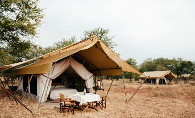 safari en tanzanie