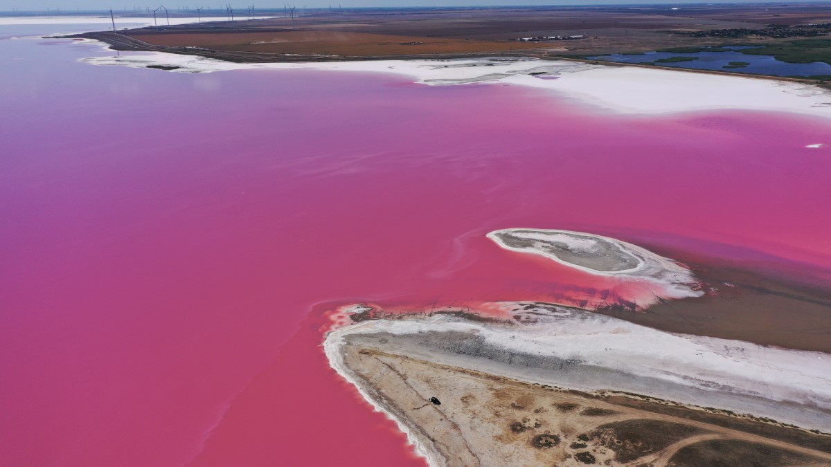 plan d'eau rose en Australie