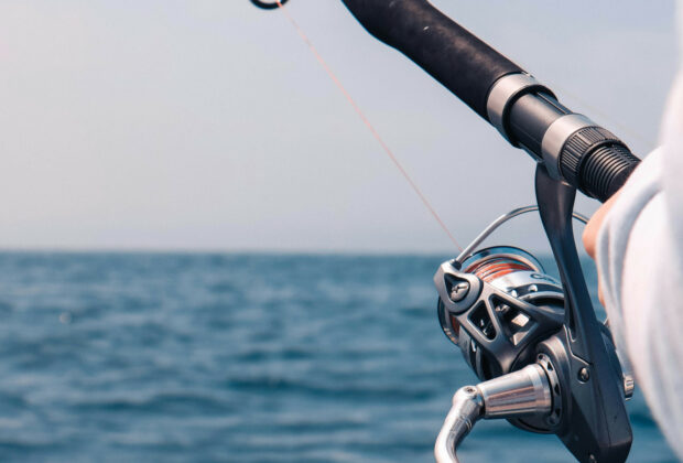 Quelle canne à pêche choisir pour débuter ?