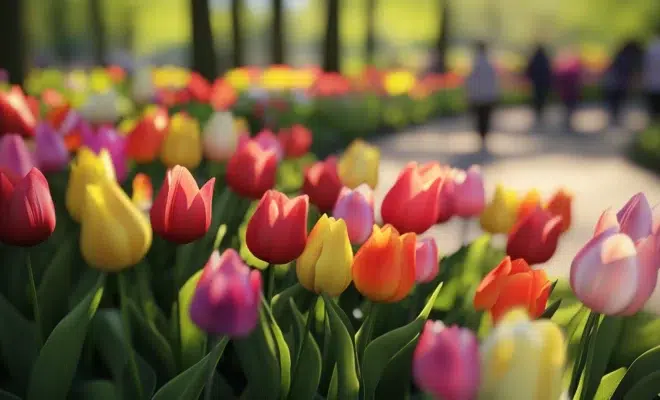 visiter Keukenhof